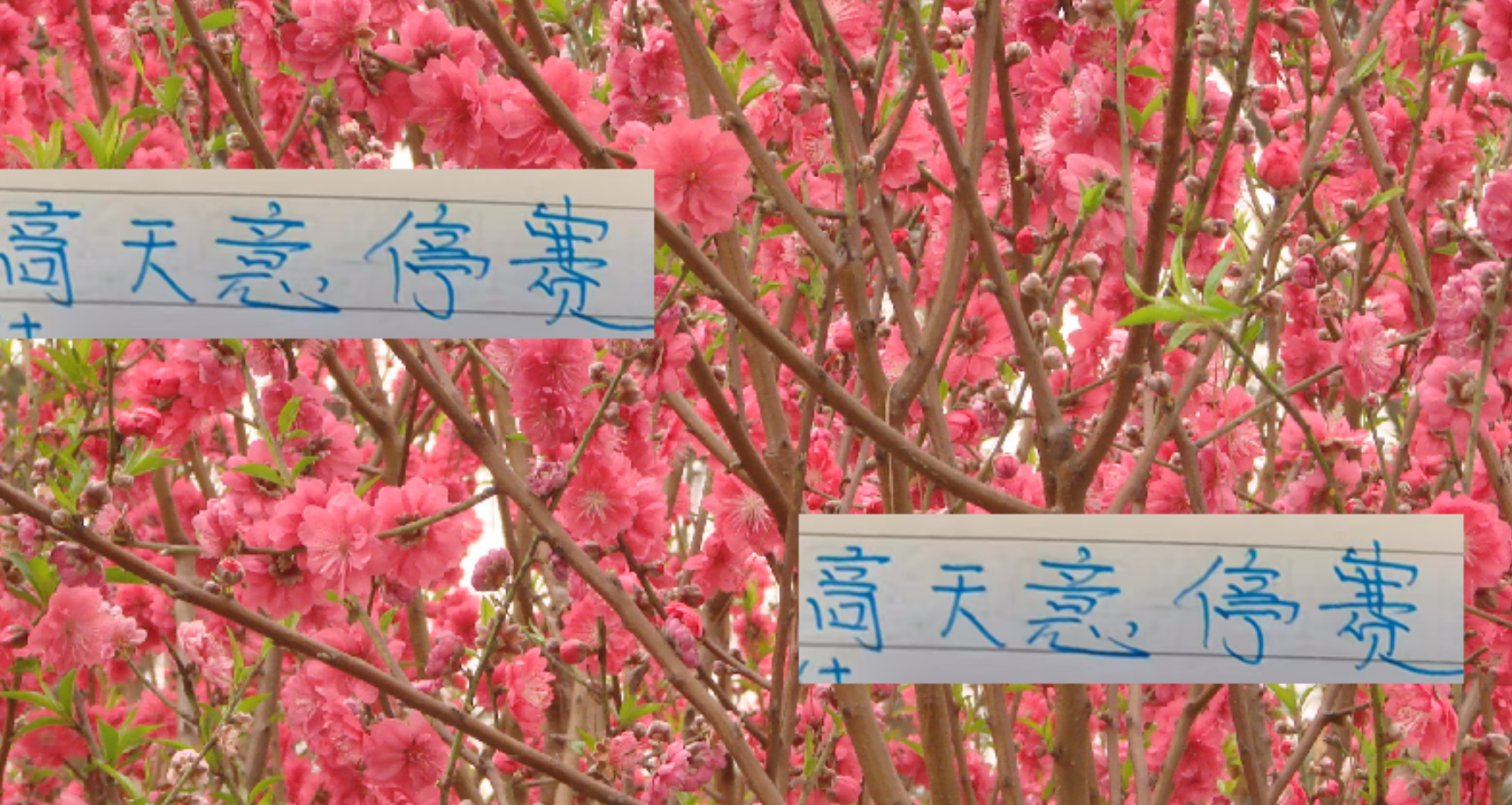 申花好消息！高天意依然是助攻榜一大哥 坏消息打山东他停赛